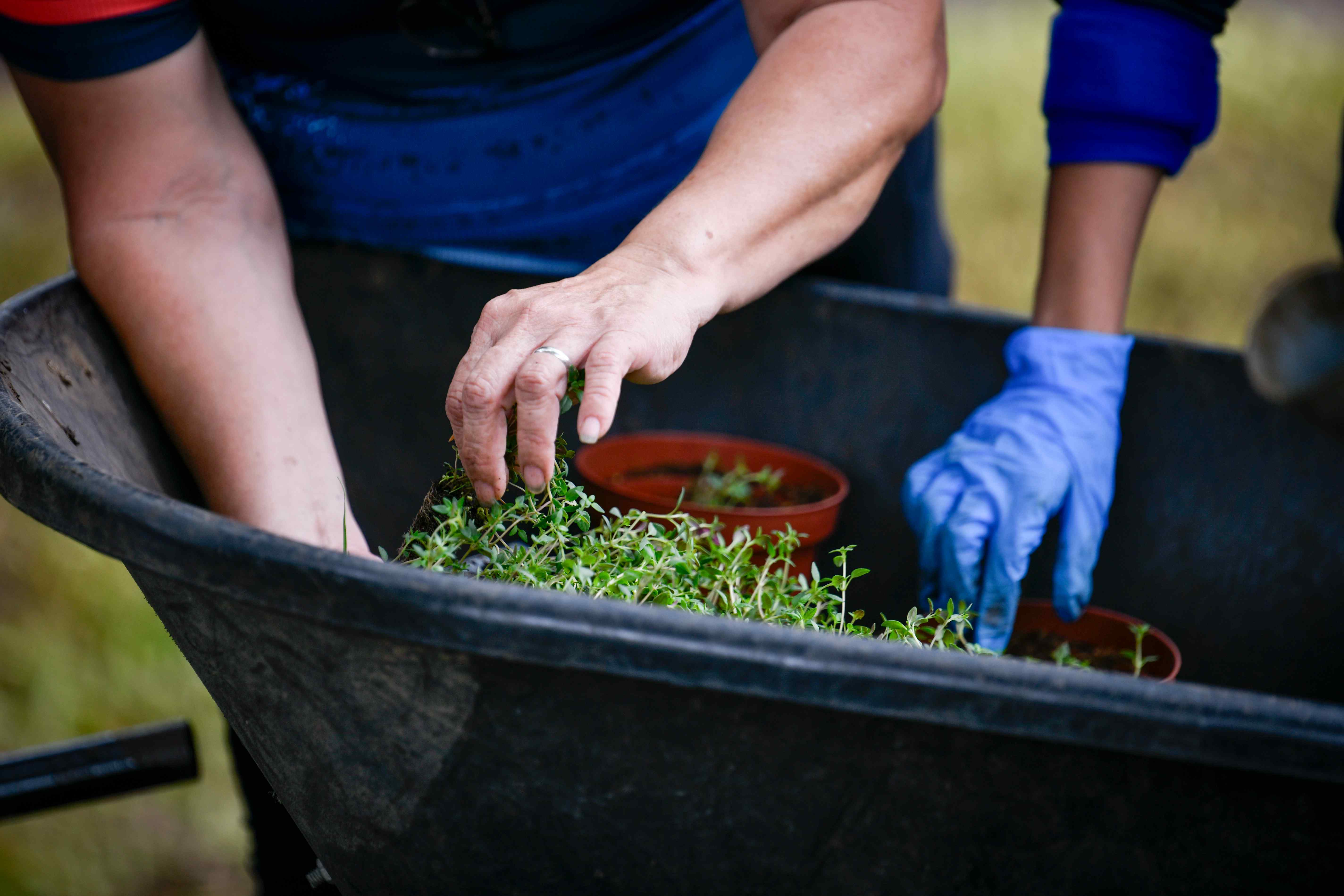 Waste optimisation